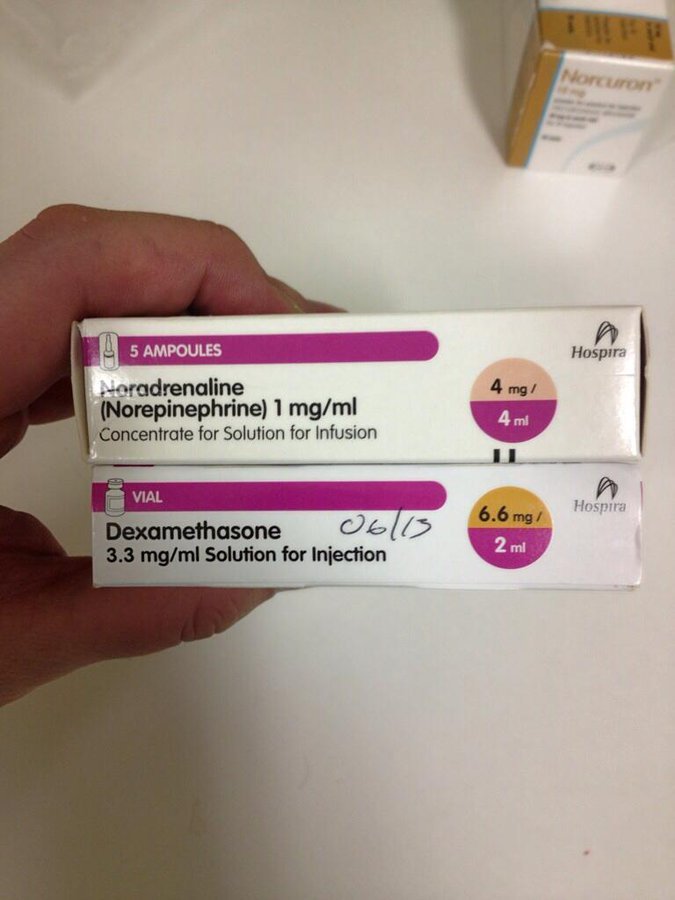 Noradrenaline and Dexamethasone